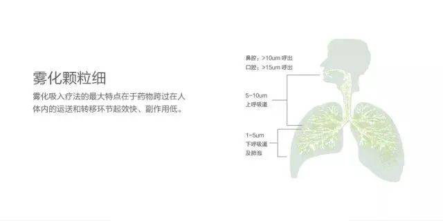 One dose is stronger than five! Shenzhen Raffles Medical Nebulized Inhalation Vaccine Equipment amaz