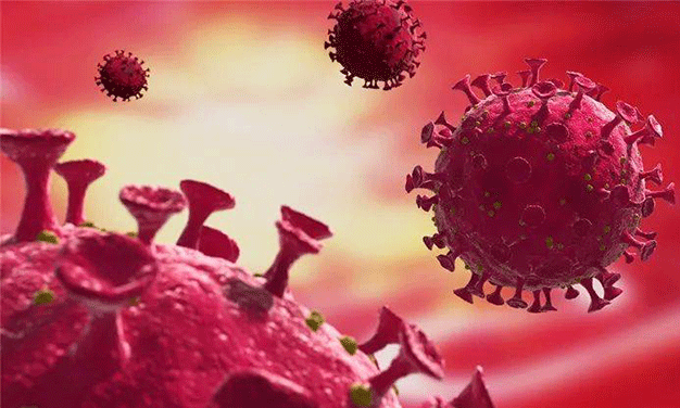 The latest news in the field of oral inhalation and nasal delivery! Shenzhen Raffles Medical Atomize