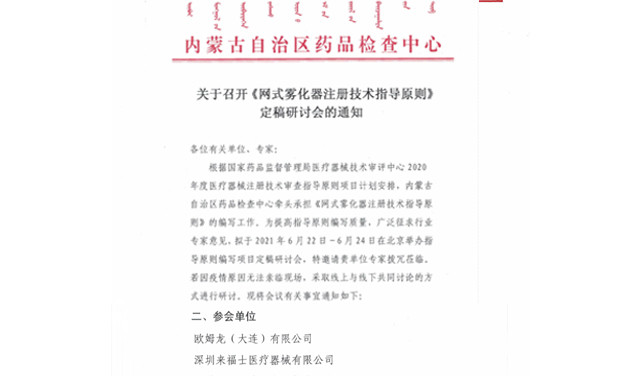 Technical guidelines for the registration of mesh nebulizers